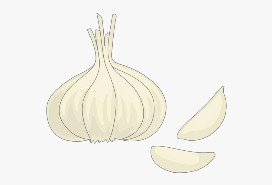 Clip Art Garlic Cartoons - Garlic Transparent Cartoon, Transparent Clipart