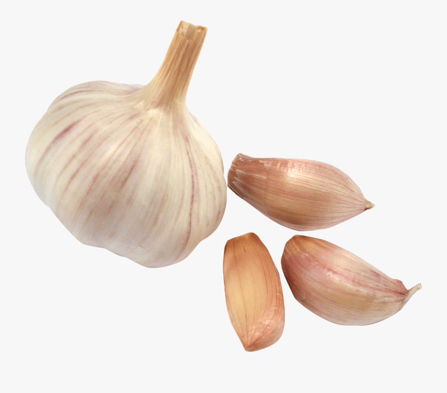 Garlic Clove Png, Transparent Clipart