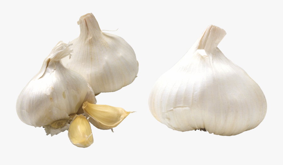 Transparent Garlic Clipart - Garlic Png, Transparent Clipart