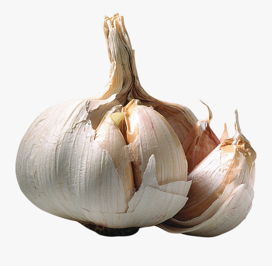 Garlic Png - Transparent Garlic Clipart, Transparent Clipart