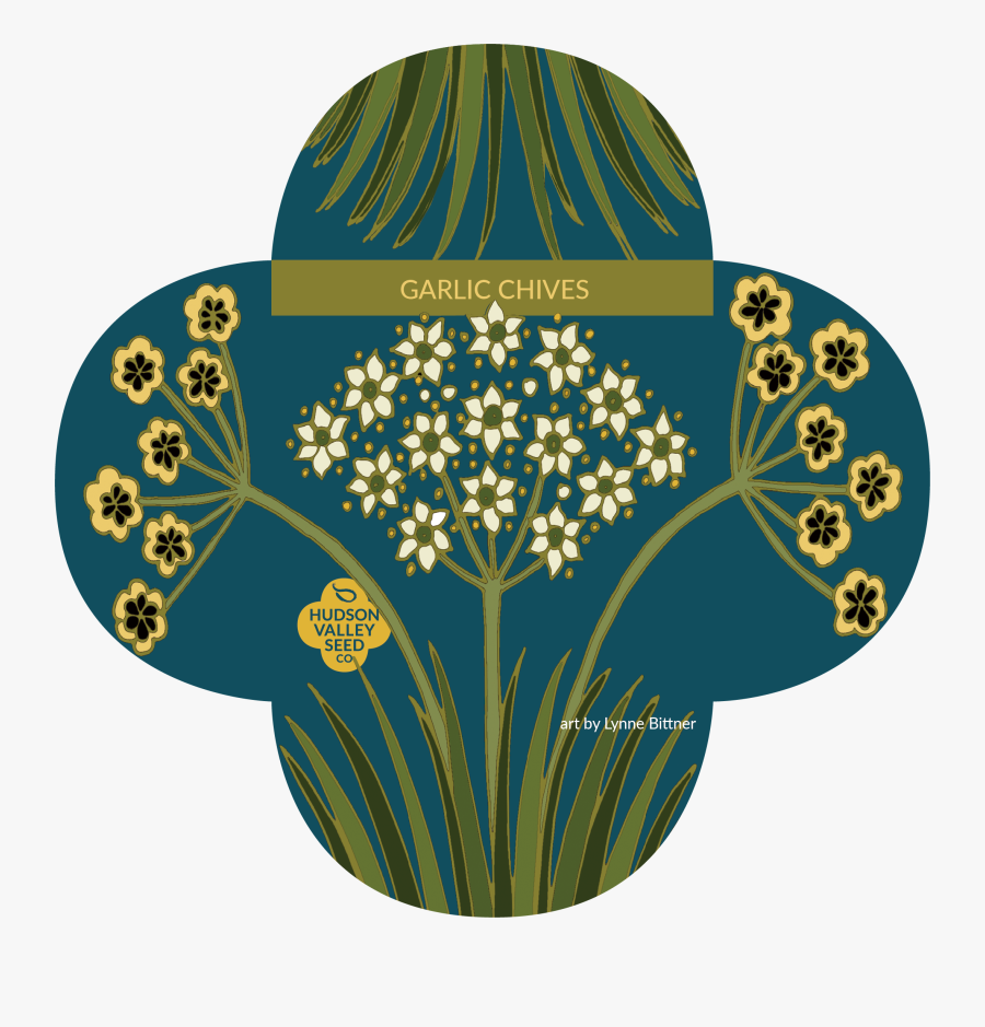 Garlic Chives - Floral Design, Transparent Clipart