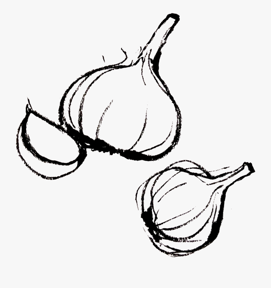 Garlic Clipart Draw - Garlic Png Drawing, Transparent Clipart