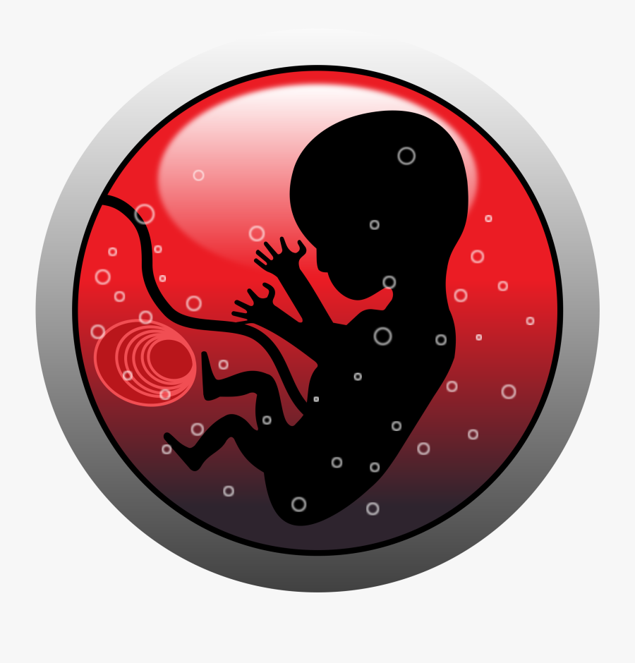 Transparent Pictures Of Abortion, Transparent Clipart