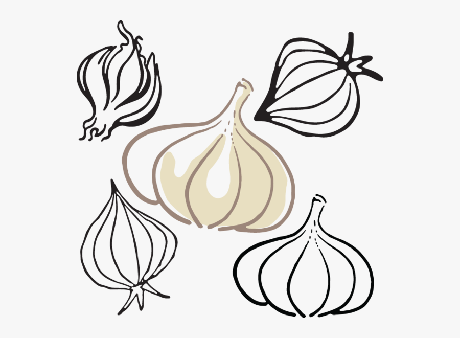 Garlic, Transparent Clipart
