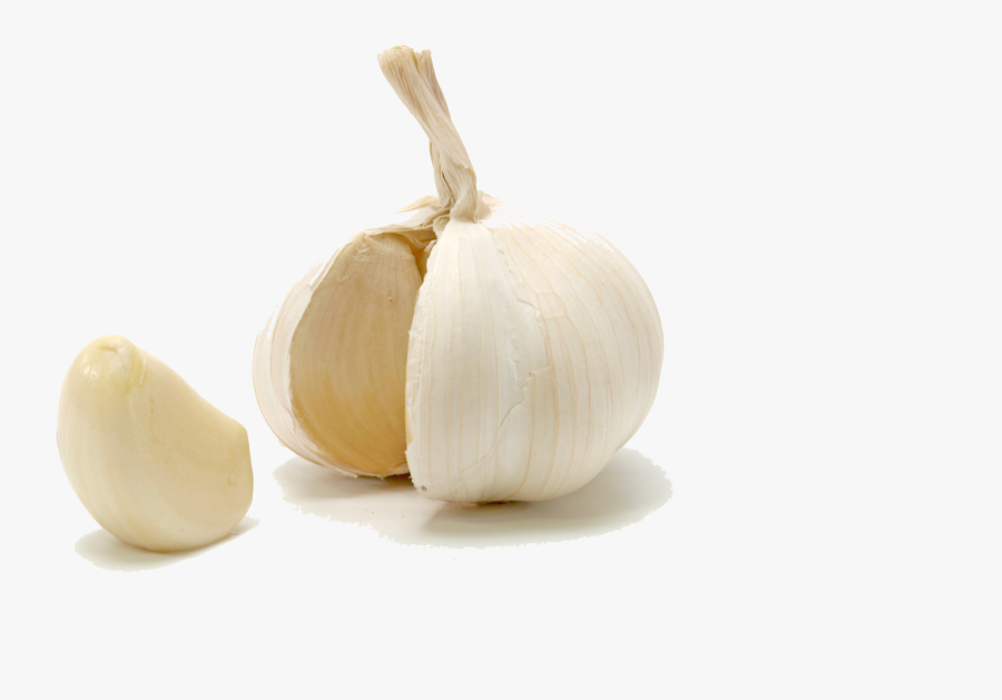 Garlic Png Transparent Images - Garlic Clove No Background, Transparent Clipart