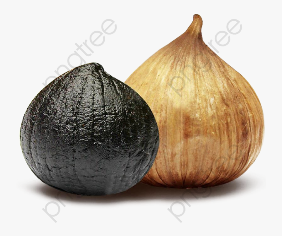 Transparent Garlic Clipart Black And White - Ajo Y Ajo Negro, Transparent Clipart