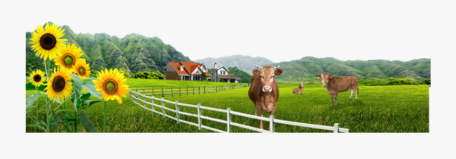 Farm Computer File Free Photo Png Clipart - Hadees E Nabvi Saw, Transparent Clipart