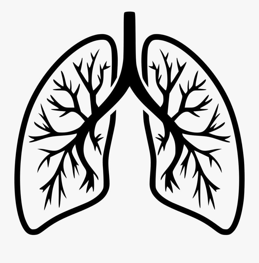 Svg Icon Free Download - Lungs Black And White, Transparent Clipart