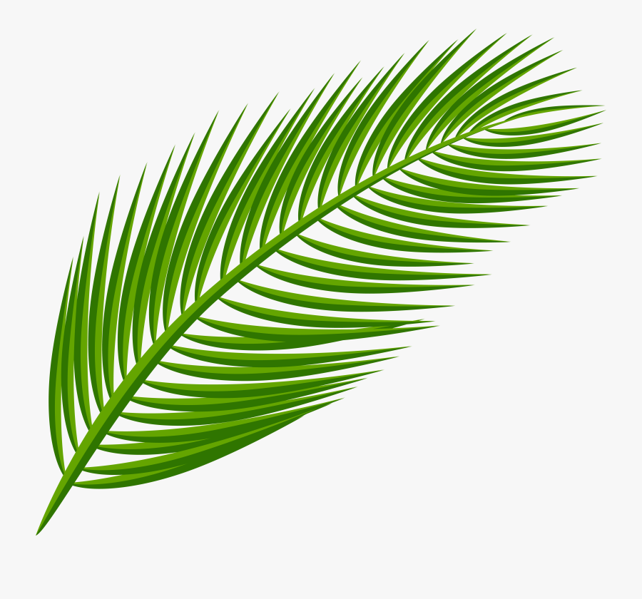 Arecaceae Leaf Clip Art, Transparent Clipart