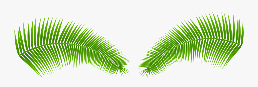 Transparent Png Clip Art - Transparent Background Coconut Leaf Png, Transparent Clipart