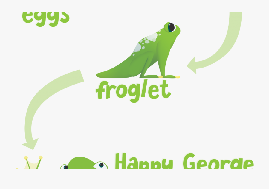 Happy George Frog Li - Toad, Transparent Clipart