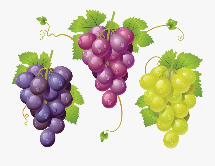 Grapes Graphics, Transparent Clipart