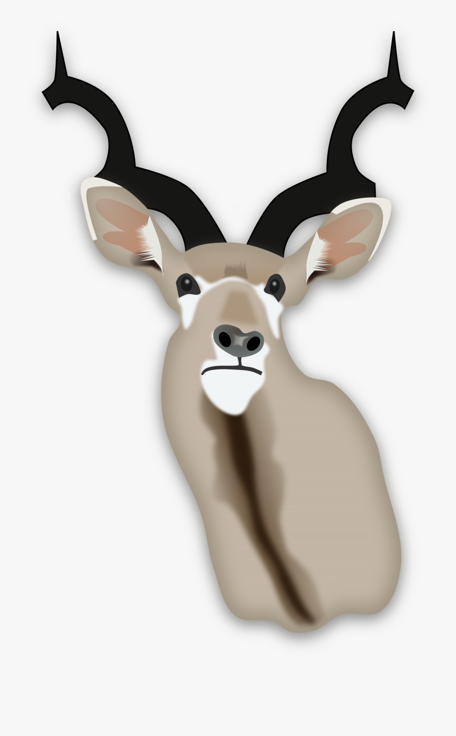 Hunting Trophy Big Image - Springbok Head Png, Transparent Clipart