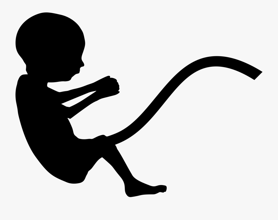 Fetus Silhouette Png, Transparent Clipart