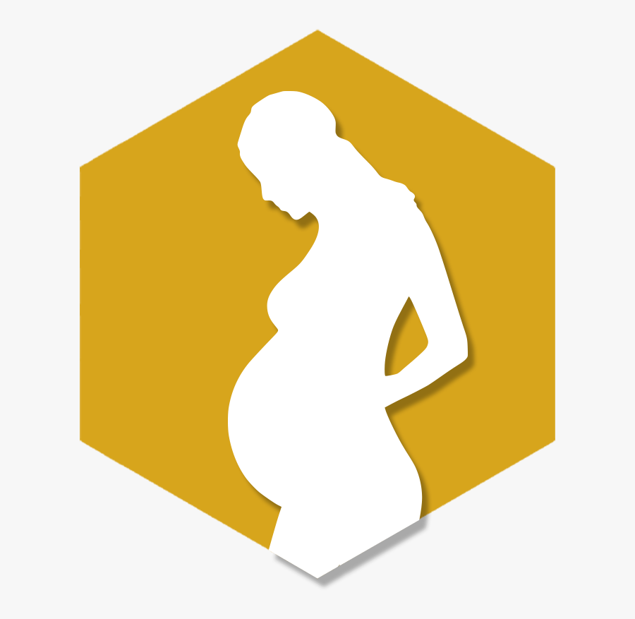 Fertility And Pregnancy - Illustration, Transparent Clipart