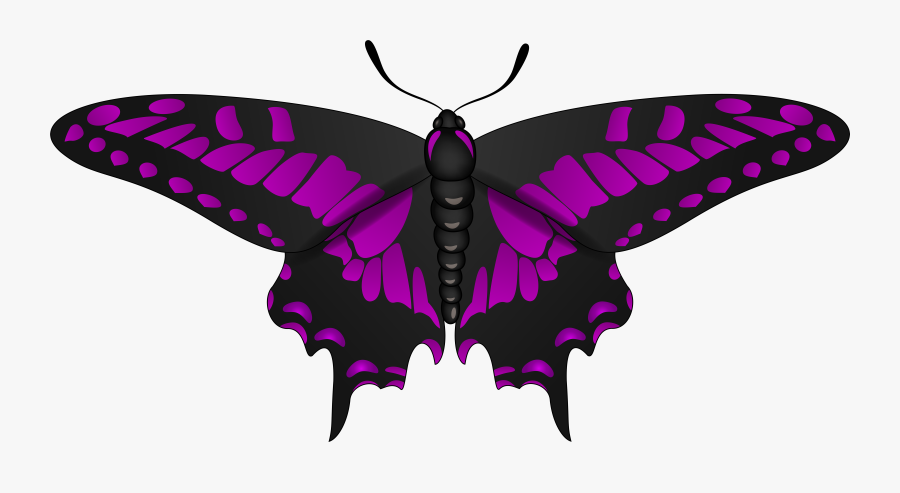 Transparent Moths Png - Clip Art, Transparent Clipart