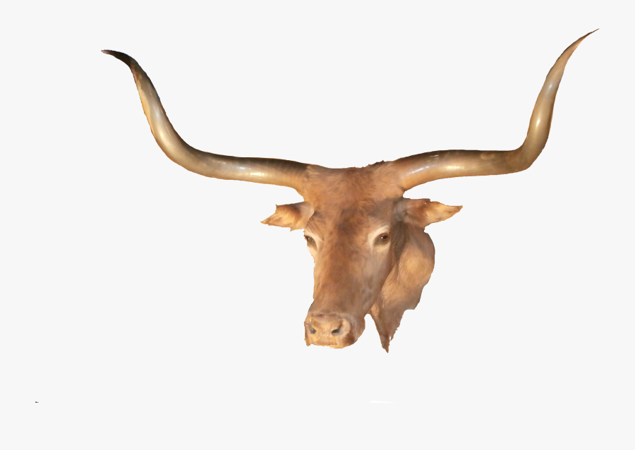 Transparent Longhorn Cattle Clipart - Longhorn Steakhouse, Transparent Clipart