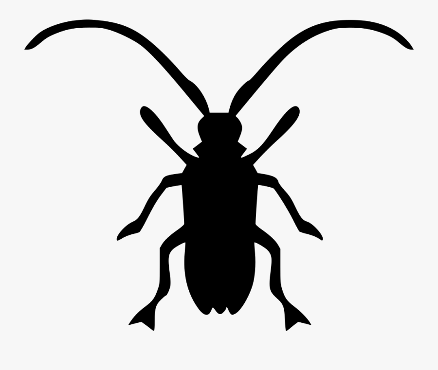 Asian Long-horned Beetle Longhorn Beetle Computer Icons - Icon Long Horn Beetle, Transparent Clipart