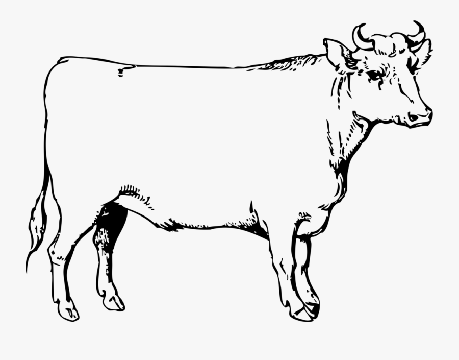 Transparent Longhorn Png - Ox Clip Art , Free Transparent Clipart ...