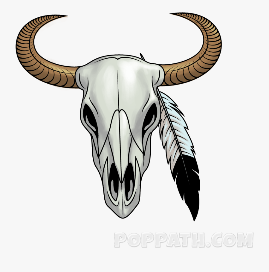 Clip Art How To Draw A Cow Skull Drawings Of Longhorn Skulls Free Transparent Clipart Clipartkey