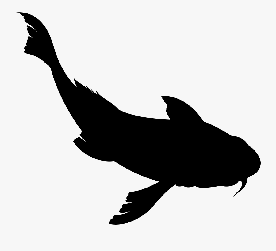 Dolphin Clip Art Fauna Silhouette Beak, Transparent Clipart