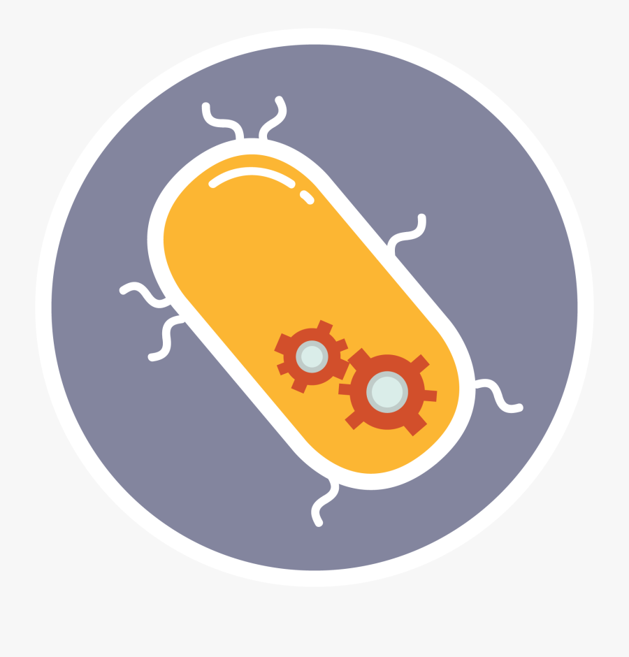 Team Calgary Journal Igem - Illustration, Transparent Clipart