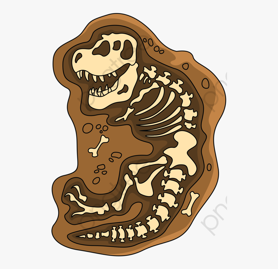 Transparent Skeleton - Dinosaur Fossil T Rex Cartoon, Transparent Clipart
