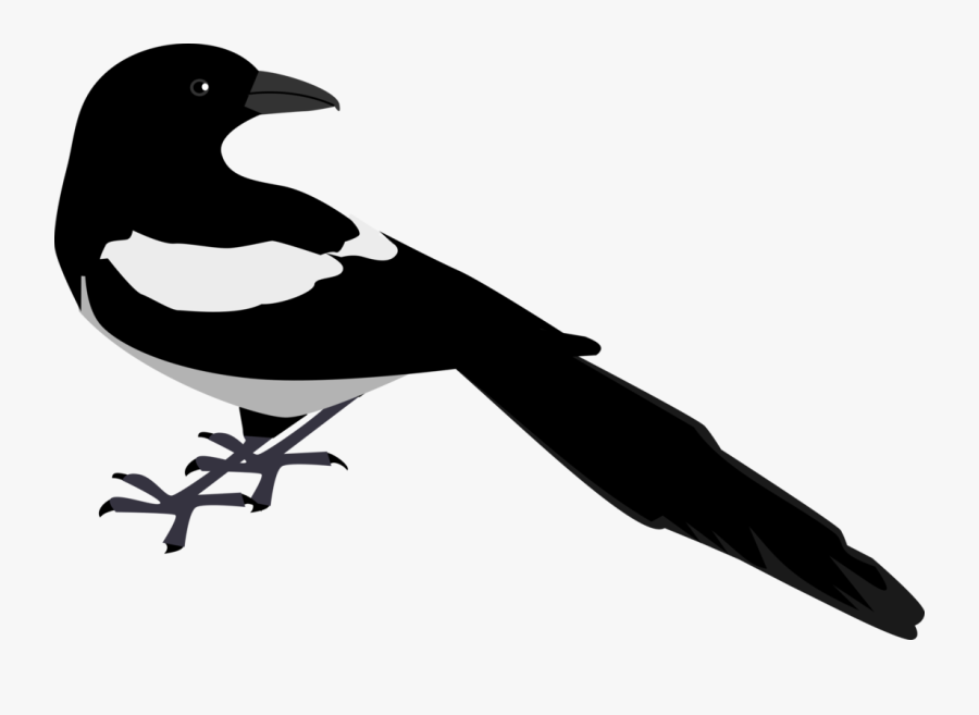 Download Oriental Magpie Robin Svg Vector File Vector Clip Magpie Clip Art Free Transparent Clipart Clipartkey PSD Mockup Templates