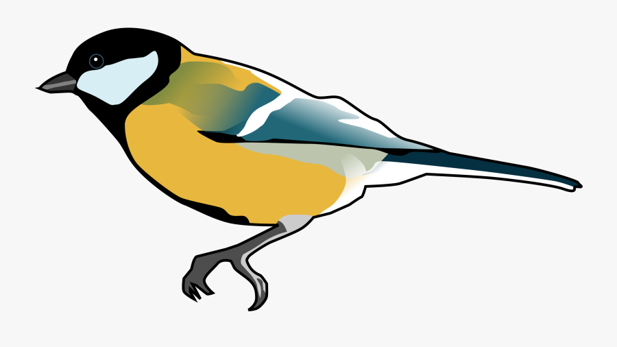 Songbird Clipart Transparent - Tit Clipart, Transparent Clipart