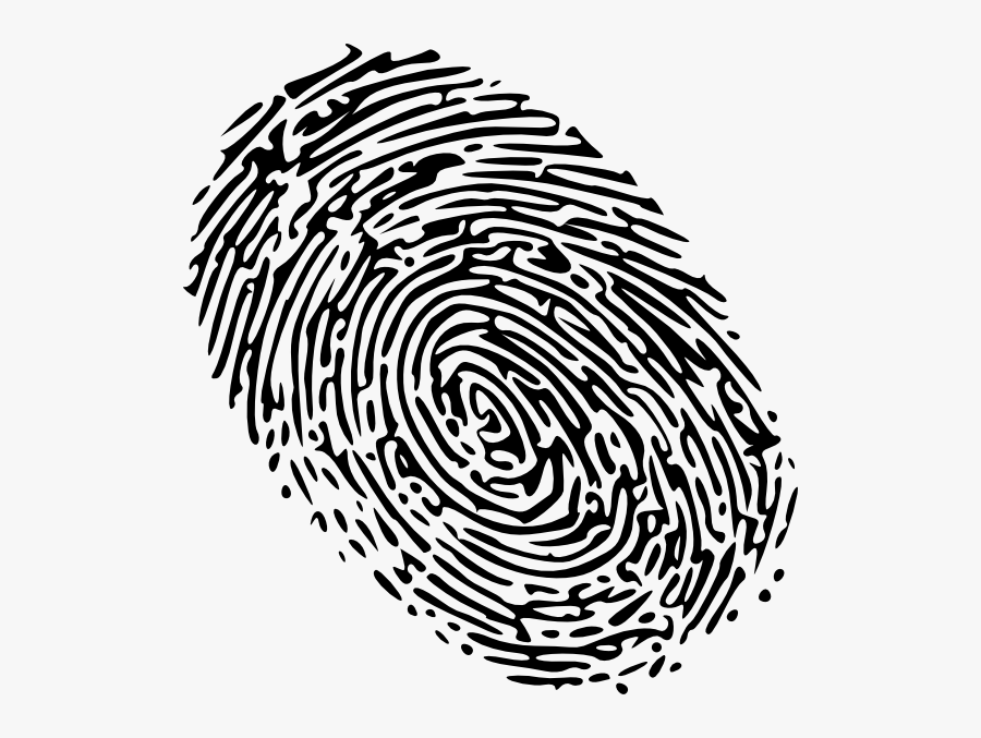 Fingerprint Clipart - Fingerprint Png, Transparent Clipart
