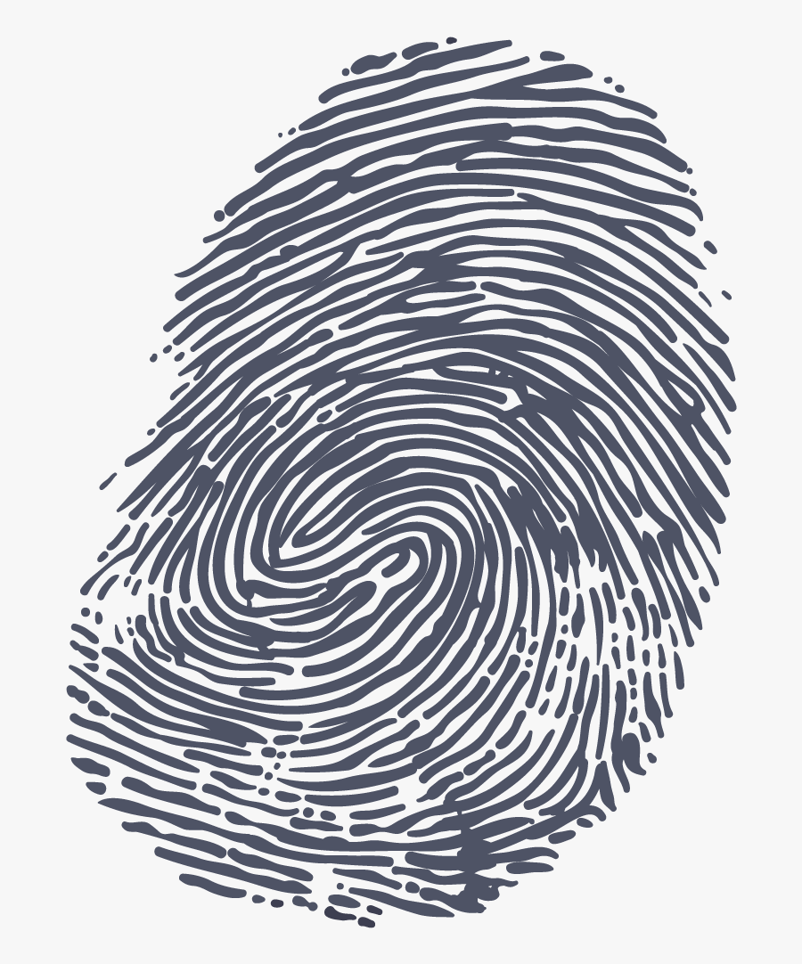 Download Fingerprint Png Clipart - Fingerprint Transparent, Transparent Clipart