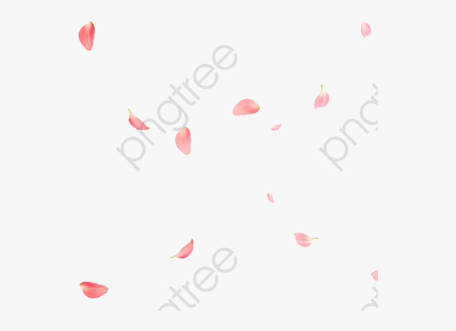 Rose Petal Falling Transparent - Cake, Transparent Clipart