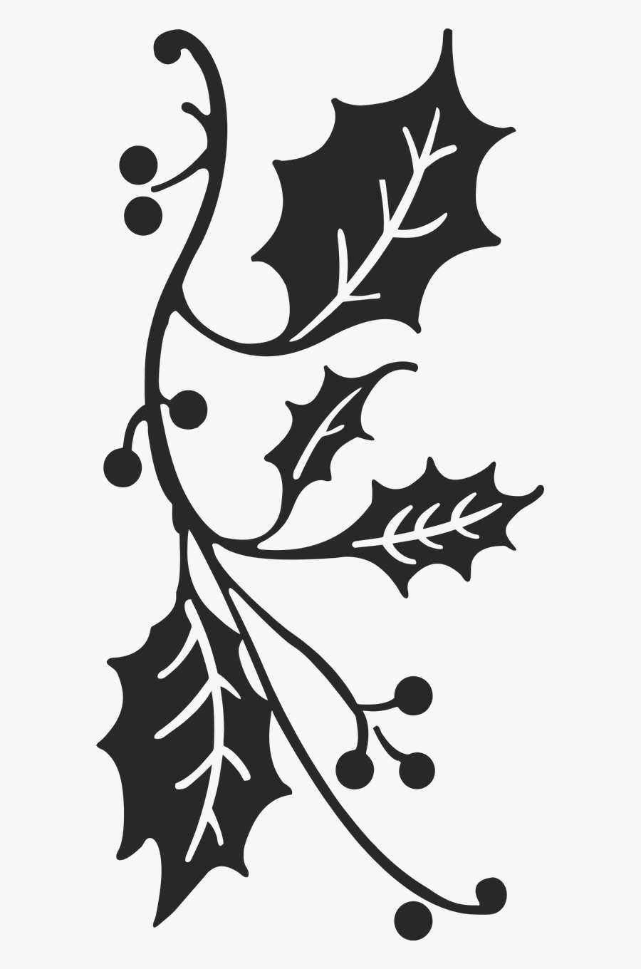 Black And White Holly Clipart , Free Transparent Clipart - ClipartKey