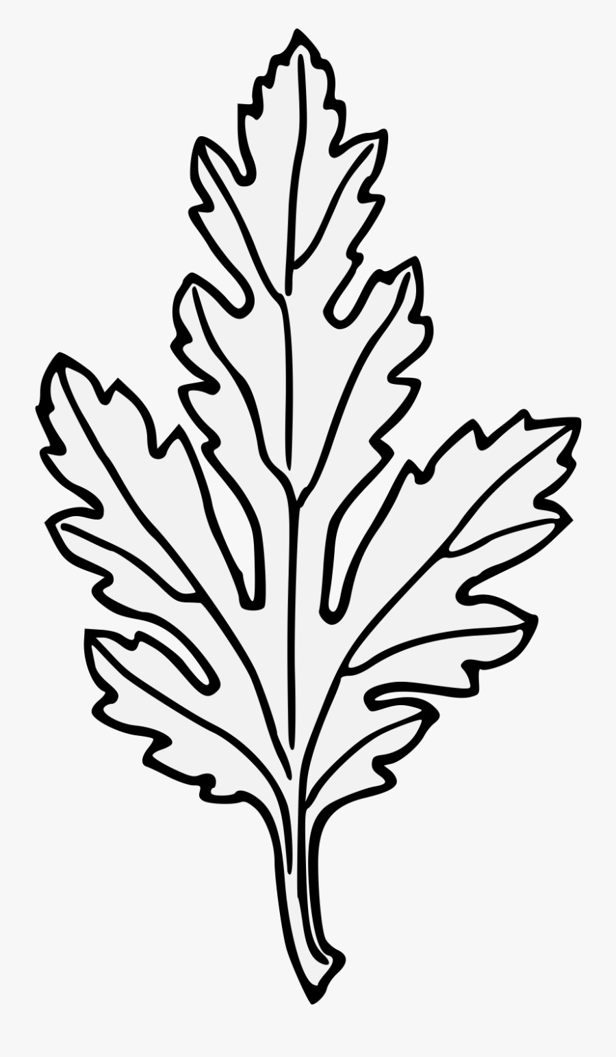 Chrysanthemum Leaf - Embroidery - Hình Vẽ Lá Hoa Cúc, Transparent Clipart
