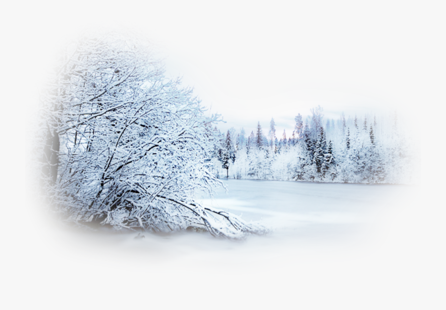 Transparent Winter Snow Png - Winter Landscape Transparent, Transparent Clipart