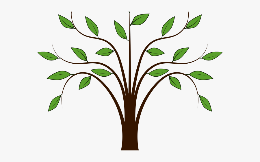 Transparent Vines Clipart - Trees And Leaves Clipart, Transparent Clipart