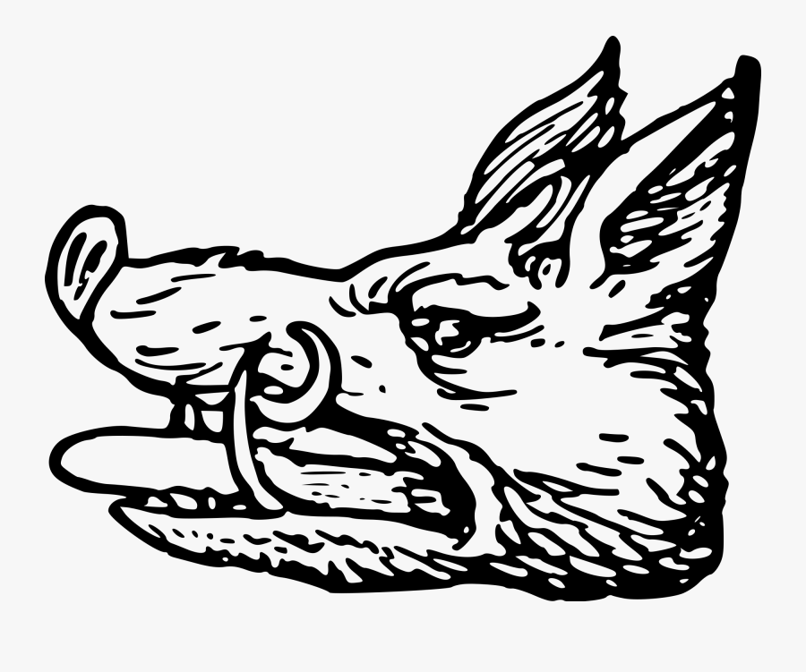 Skull Clipart Boar - Boars Head Family Crest, Transparent Clipart