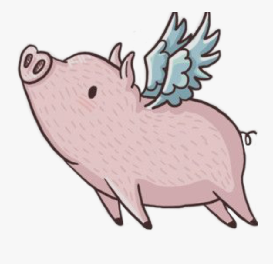 Pig With Wings Png , Free Transparent Clipart - ClipartKey