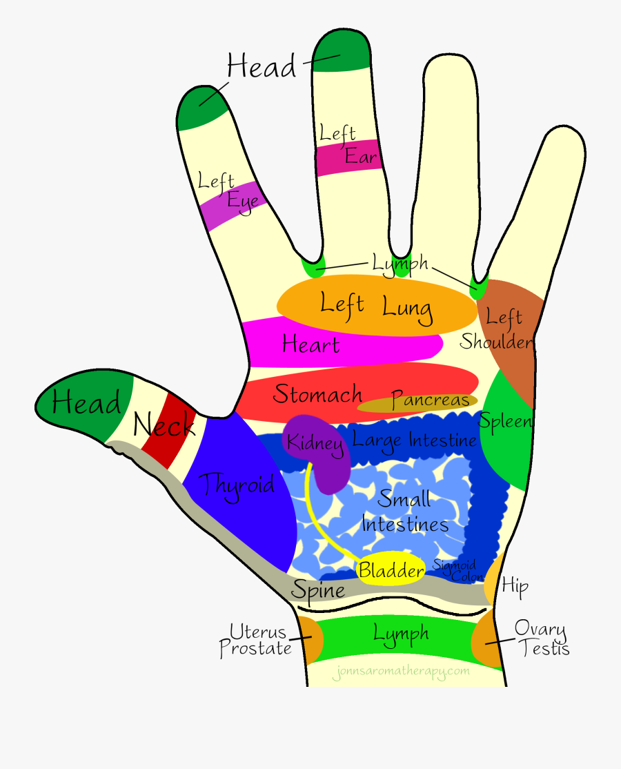 Healing Clipart Right Hand - Pressure Points Baba Ramdev, Transparent Clipart