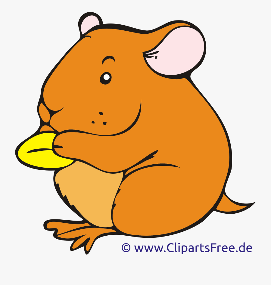 Pencil And In Color - Colorear Hamster Png, Transparent Clipart