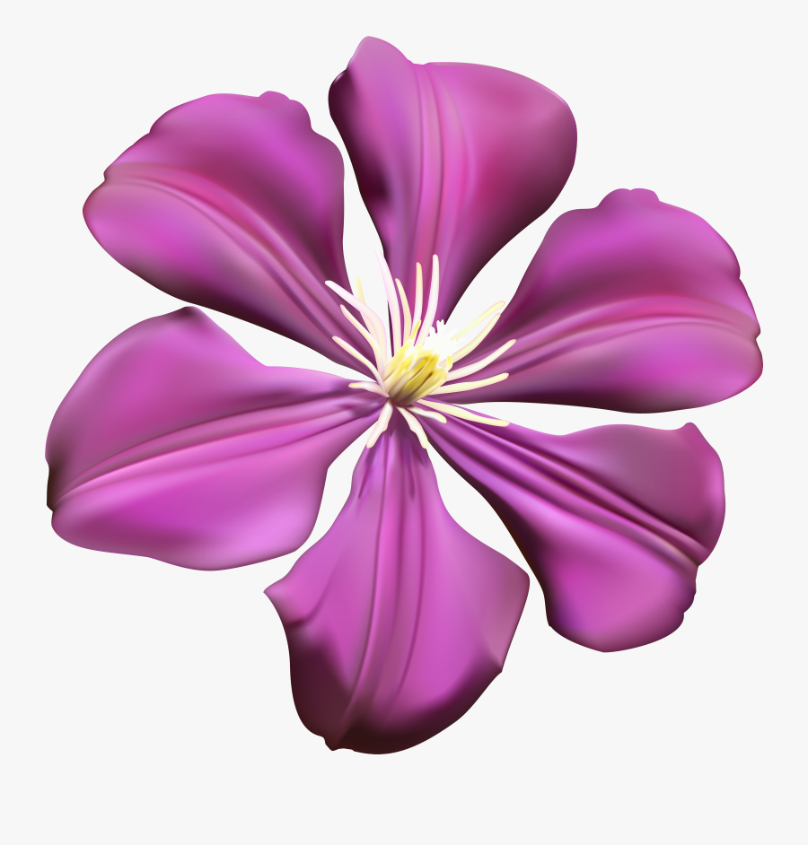 Purple Flower Transparent Png Clip Art Image - Maroon Flower Clip Art Transparent Background, Transparent Clipart