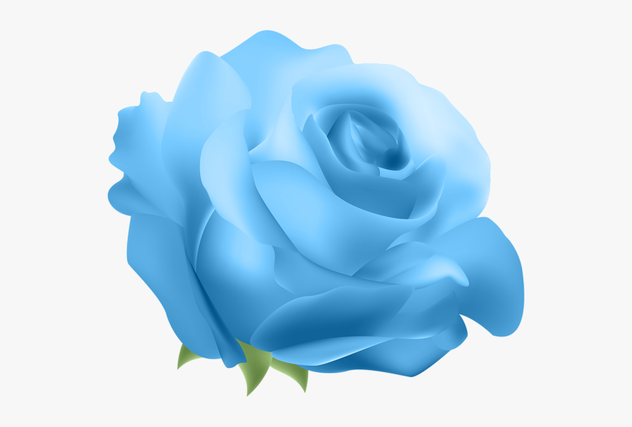 Blue Transparent Background - Transparent Background Blue Rose Png, Transparent Clipart