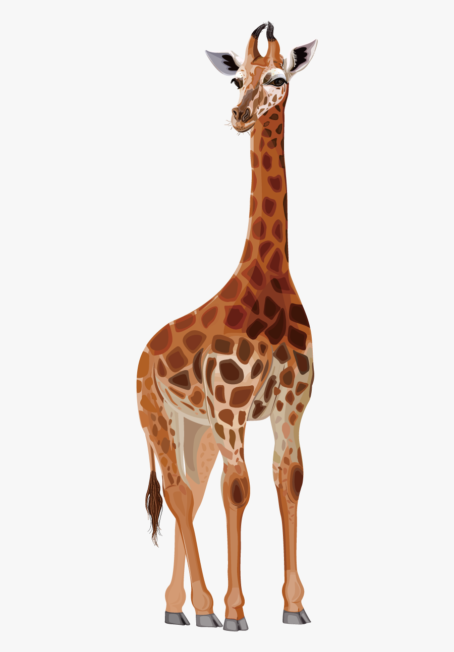 Northern Drawing Cartoon Png - Giraffe Png Cartoon, Transparent Clipart