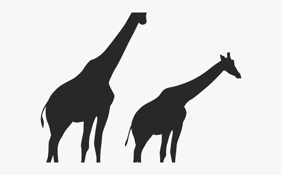 Africa Clipart Giraffe - Giraffe Illustration Black, Transparent Clipart