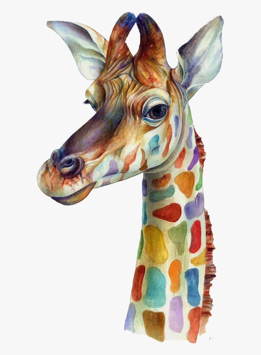 Watercolor Giraffe Plus Iphone 4s Png Download Free - Giraffe Water Color Clip Art, Transparent Clipart