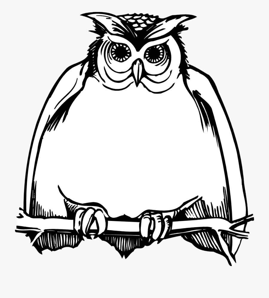 Horned Owl Clipart Black And White - Harry Potter Owl Clipart, Transparent Clipart