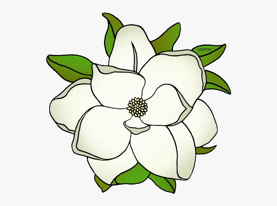 Louisiana Clip Art Free - Clipart Louisiana State Flower, Transparent Clipart