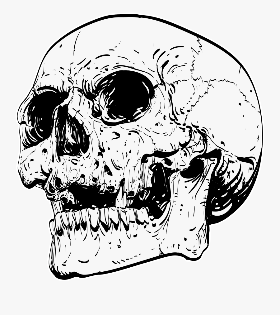 Transparent Realistic Skull Clipart - Skull Drawing Transparent Background, Transparent Clipart