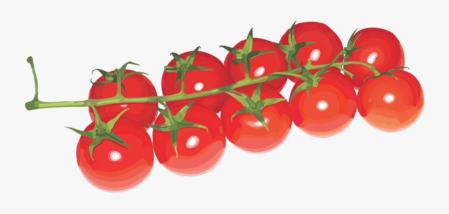 Tomatoes Cherry Png - Cherry Tomatoes Transparent Background, Transparent Clipart