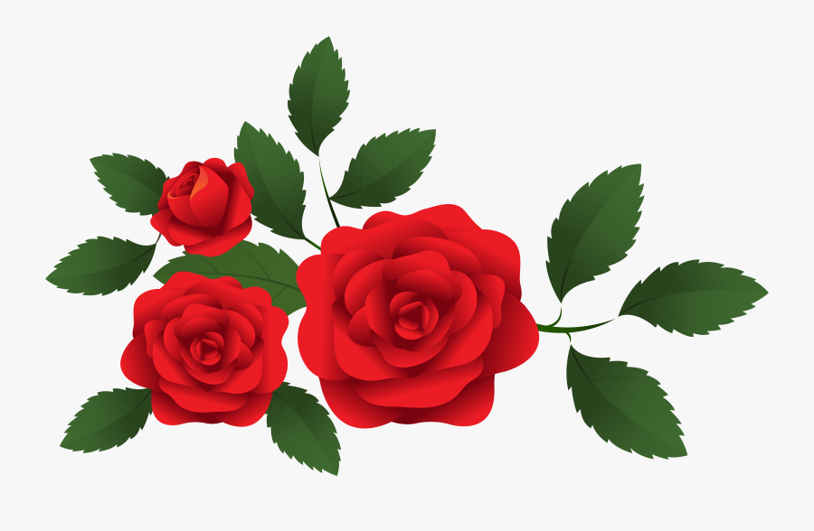 Transparent Beauty And The Beast Rose Clipart - Red Rose Clipart Png, Transparent Clipart